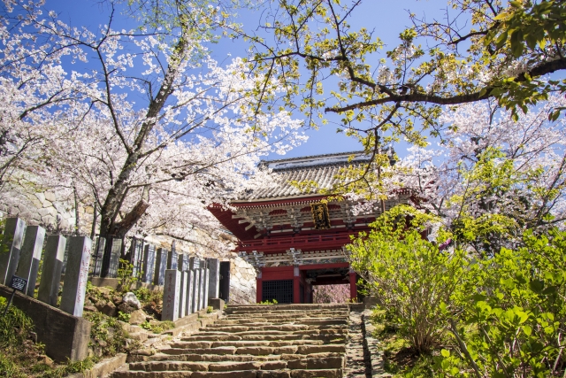 桜川市の街並み